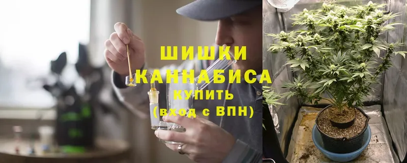 Каннабис Bruce Banner  где купить   OMG сайт  Новоузенск 